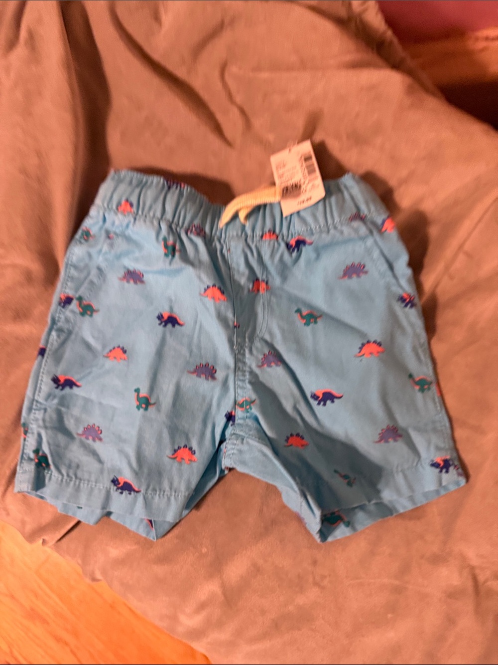 The Children's Place Light Blue Dino Swim Shorts